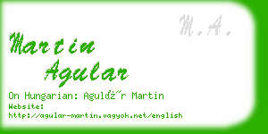 martin agular business card